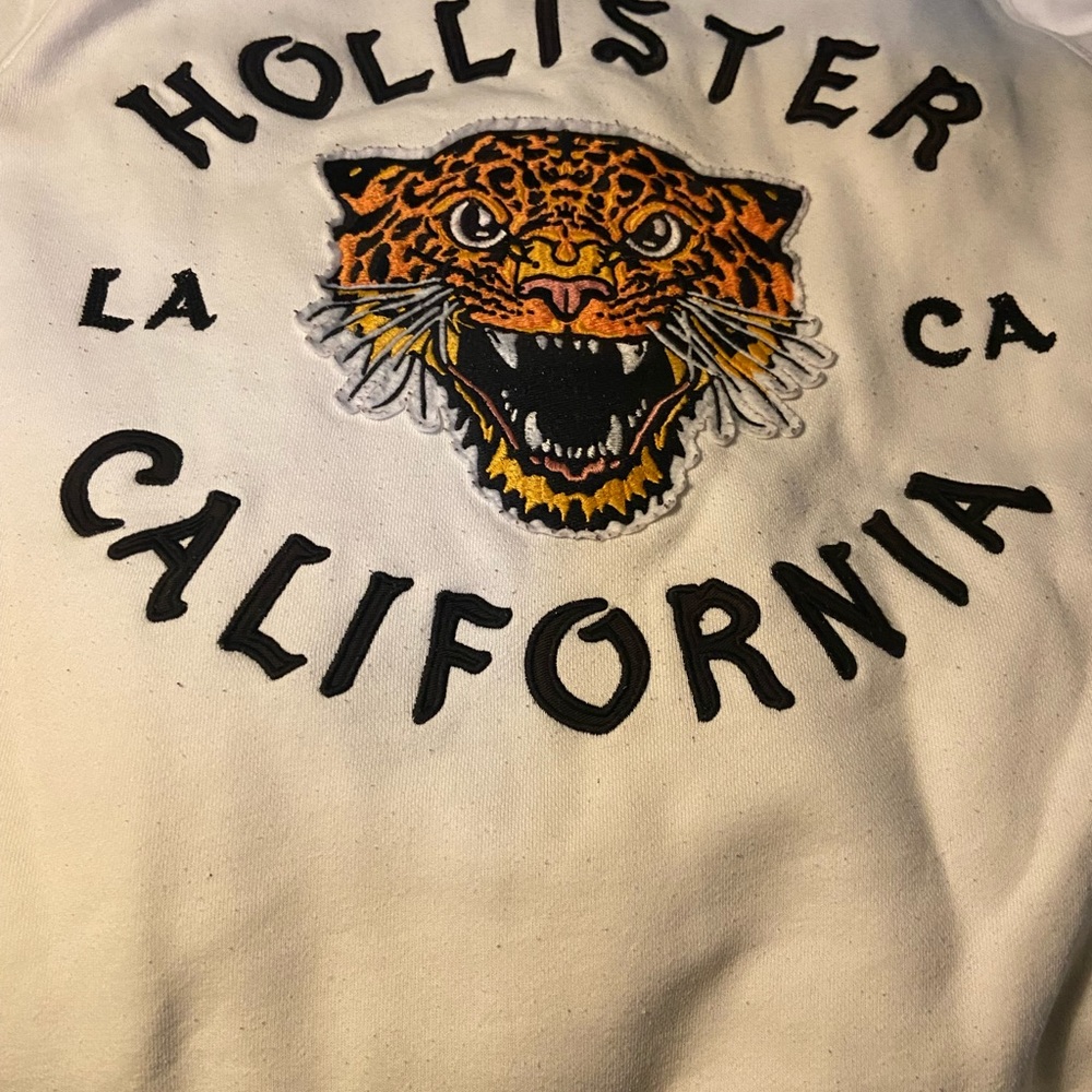 Mens Hollister Hoodie Size Small